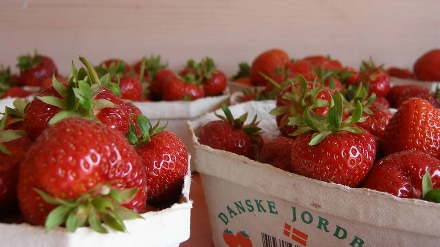 Djursland byder på en sanselig tur for madører