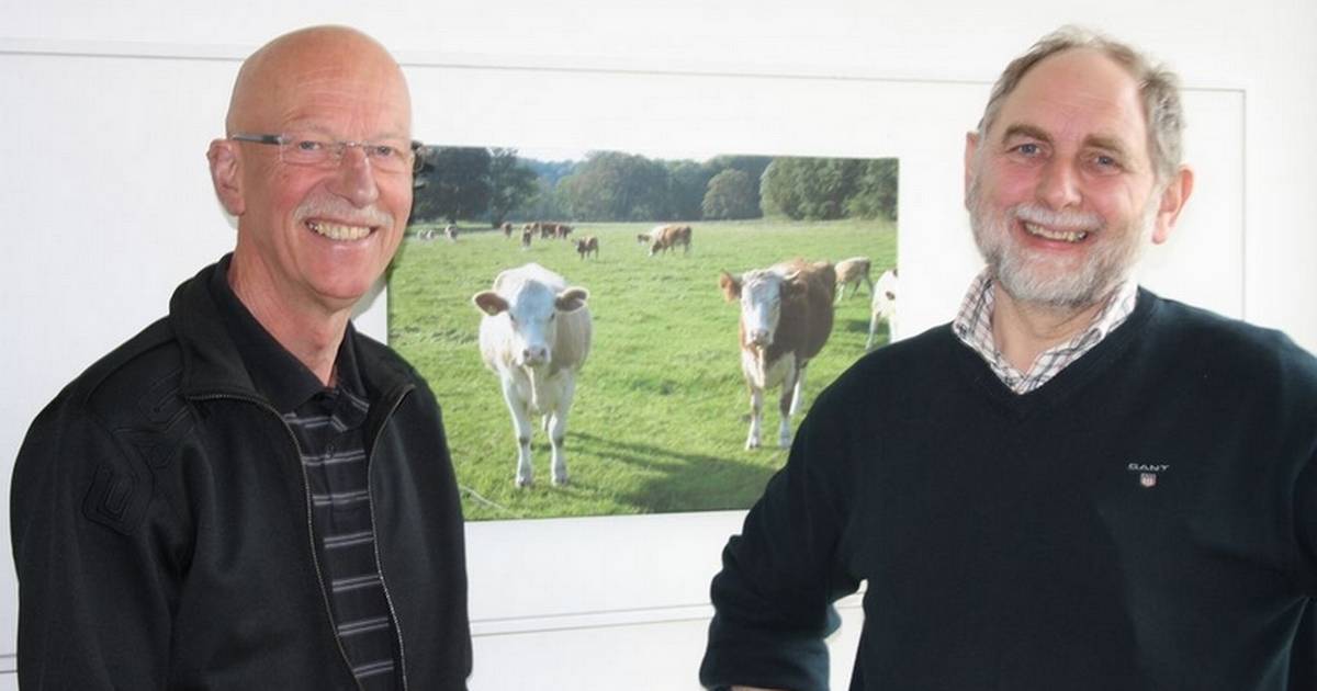 Fremstød for æg, grønt og kød fra Djursland